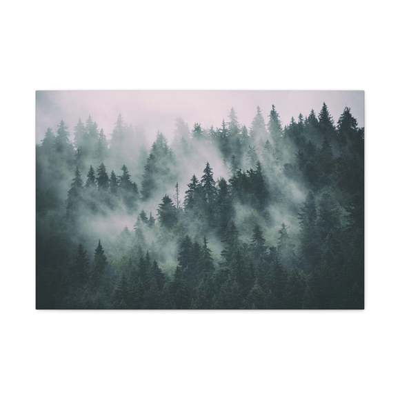 Misty Green Forest Pine Tree Nature Wilderness Photography Canvas Wall Art for H